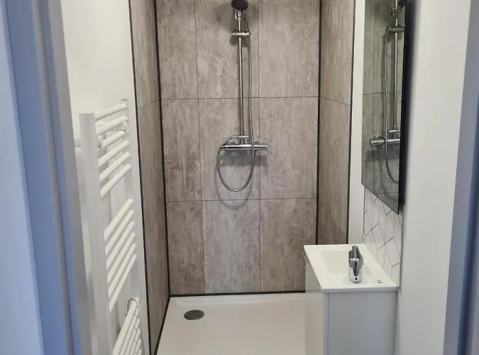 Sadi Carnot Apartamento Dijon